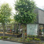 道路から見た店舗