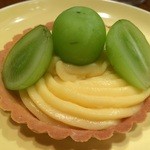 アルタムーラ - 