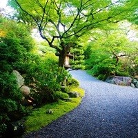 京大和 - 
