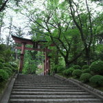 ケースタイル - 弥彦神社へお散歩