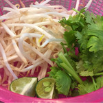 バックパッカーズランチ - モヤシ、パクチー、スダチ