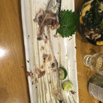 山忠 - 結局、南極、放送局