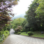 グリーンヒルズ草庵 - この坂を上がって参りました