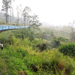 Nidwalden Resort - アジアで最も美しいという車窓をみながらキャンディからヌワラ・エリアまで４時間