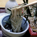 Kashi waya - 三鷹仲町通りそば処かしわやざるの麺とつゆ近景