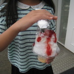 ルーテシア - かなりのボリュームです