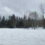 朱鞠内湖そばの花 - 窓からの景色