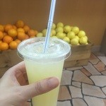 ジューシーヒャクパーセント - 