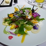 ミシェル・ブラス トーヤ ジャポン - コンデジ