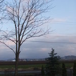 バローレ - お庭