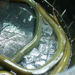 かぶと - 四万十川と球磨川