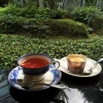 喫茶どんぐり - 緑の庭を眺めながら