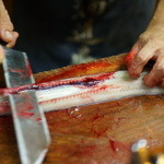 かぶと - 四万十