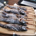 神之瀬フィッシング - ヤマメとニジマスの炭火焼き