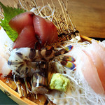 日本料理 いな穂 - 刺身御膳