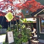 ナチュラル　カフェイーナ - cafeina　入り口