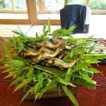 虎屋 壺中庵 - Ｄ．天然鮎は焼きたてを