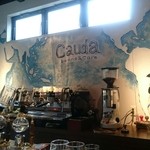 Cauda - 