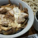 Teuchi Soba Hitachiya - ざるそばとミニ親子丼のセット