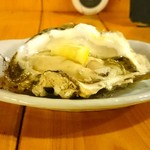 苫小牧新鮮魚市場 - 厚岸産 殻付生ガキ「マルえもん」(360円)