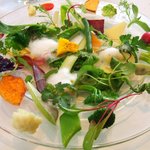 レストラン タテル ヨシノ 銀座 - 前菜 季節の野菜　庭園風