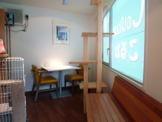 Catroom こるね 猫カフェ 荻窪 その他 食べログ