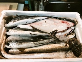 Yahei - 毎日相模湾の地魚を仕入れております。