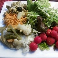 Lounge & Dining G - 生野菜