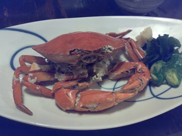 短い時間でしたが 地の肴が味わえてよかったよ By Nozopoo 閉店 赤とんぼ あかとんぼ はりまや橋 居酒屋 食べログ