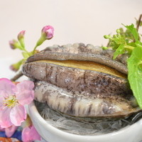 蝦夷あわび刺身