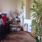 cocoo cafe - 
