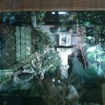 大津魚忠 - 素晴らしいお庭ライトアップ