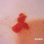 カフェ・トロワグロ - 甘味の有るトマト