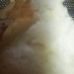 きりん屋 - ふっわふわ