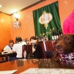 キッツビュール - 