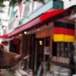 キッツビュール - 