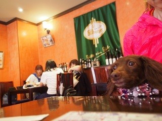 キッツビュール - 