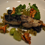 クッチーナ イタリアーナ ガッルーラ - 師崎産「さわら」の炭火焼き　葡萄のラビゴットソース　ジロール茸を添えて