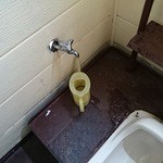 カシミール - 現地式マニュアルタイプのウォシュレット