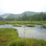 コーヒースポット - 湿原の中をどこまでも歩いて向かいます。