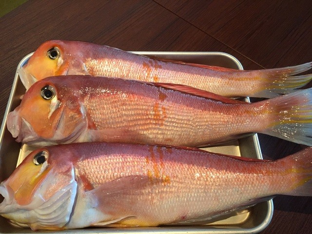 トラットリアプレッツァ - 青森県深浦产 钓り甘鲷