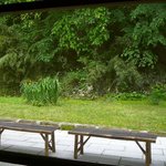 腰掛庵 - 喫茶室からの風景＠2010/5