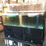 昭和食堂 - イケスが二つ、新鮮かお魚が食べれます