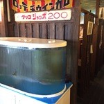 昭和食堂 - イカの活き造りが食べれます