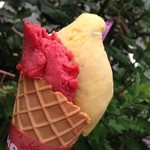 ベルナール - 料理写真:オリジナルジェラート