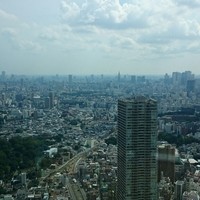 天空の庭　星のなる木 - 
