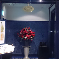 KATO'S DINING & BAR - 