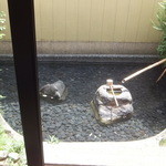 玄冶店 濱田家 - ３階中庭の池