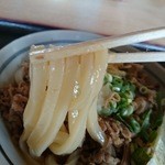 手打ちうどん 清水屋 - うどん　持ち上げ～♪