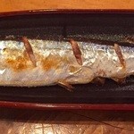 Kiku sen - 今年の初秋刀魚